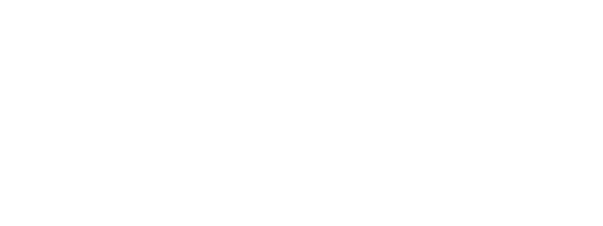 logo stappaerts wit